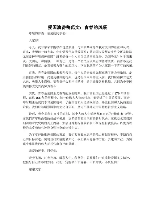 爱国演讲稿范文：青春的风采