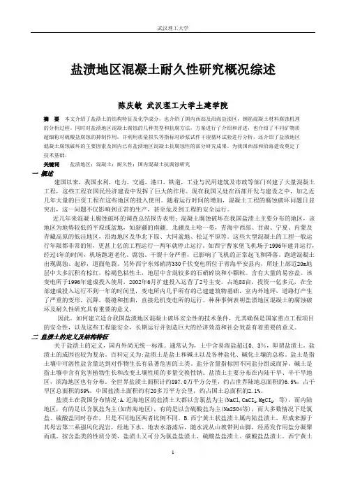 盐渍地区混凝土耐久性综述