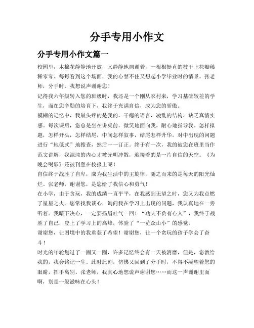 分手专用小作文