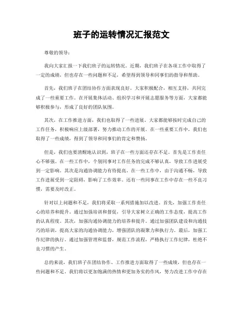 班子的运转情况汇报范文