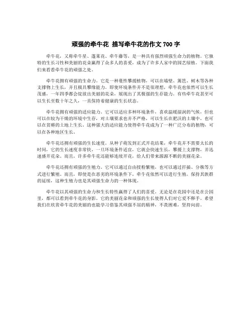顽强的牵牛花 描写牵牛花的作文700字