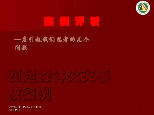 四起森林火灾事故案例PPT演示课件