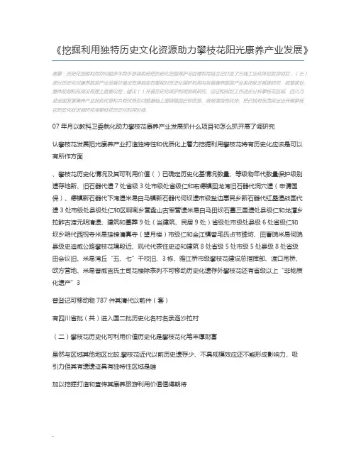 挖掘利用独特历史文化资源助力攀枝花阳光康养产业发展