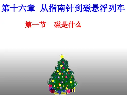 第十六章从指南针到磁悬浮列车-精选