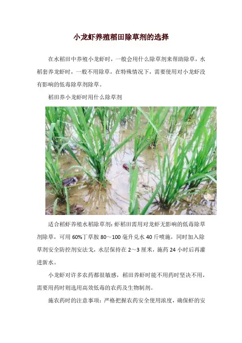 小龙虾养殖稻田除草剂的选择