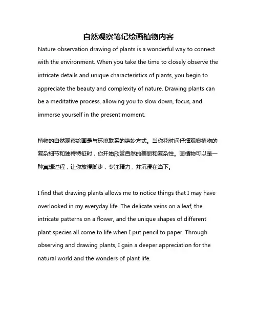 自然观察笔记绘画植物内容