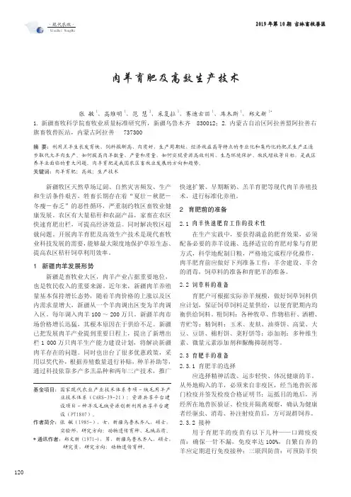 肉羊育肥及高效生产技术
