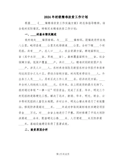 2024年村级精准扶贫工作计划(六篇)
