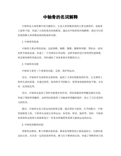 中轴骨的名词解释