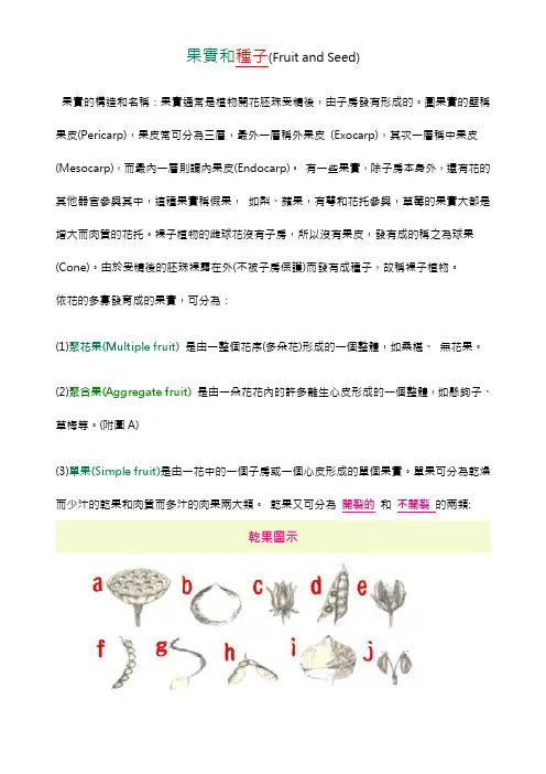 果实和种子(Fruit and Seed)