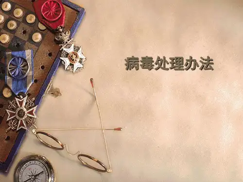 病毒处理办法.