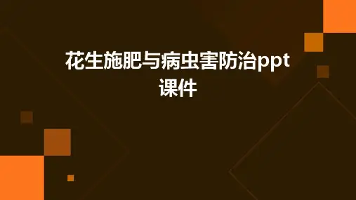 花生施肥与病虫害防治PPT课件
