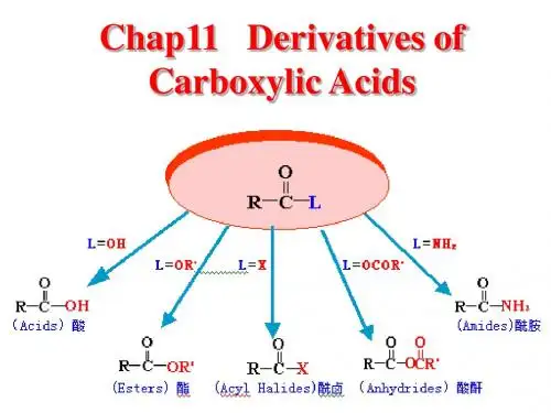 第十一章 羧酸衍生物