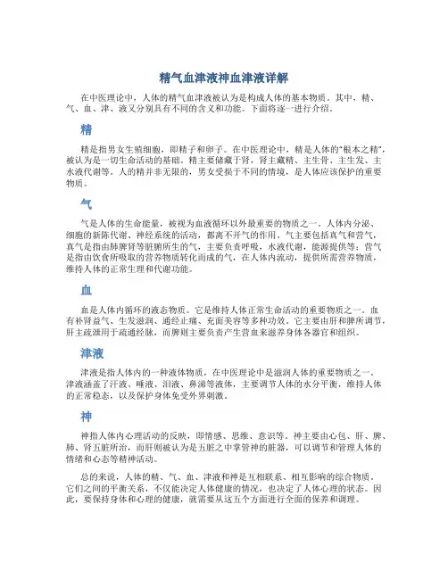 精气血津液神血津液详解