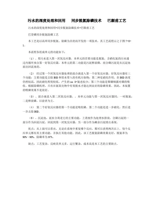 污水的深度处理和回用   同步脱氮除磷技术   巴颠甫工艺