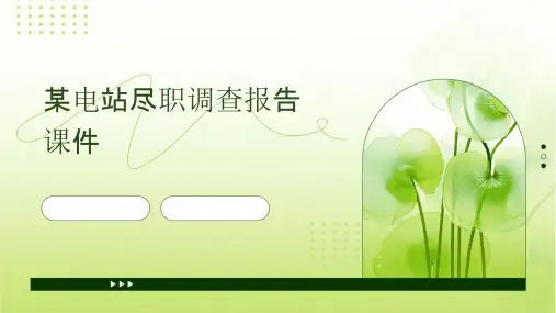某电站尽职调查报告课件