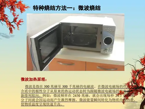 微波加热基本原理
