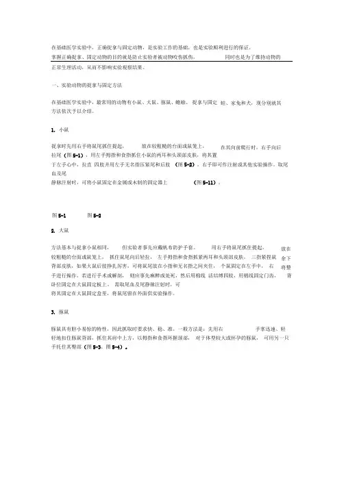 动物实验的基本操作