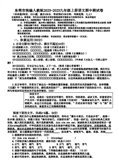 广东省东莞市2023-2024学年九年级上学期期中语文试题(含答案)