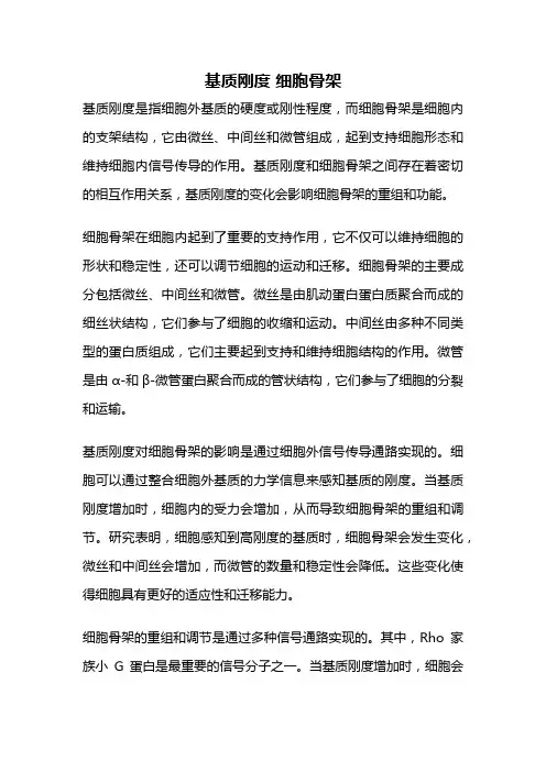 基质刚度 细胞骨架