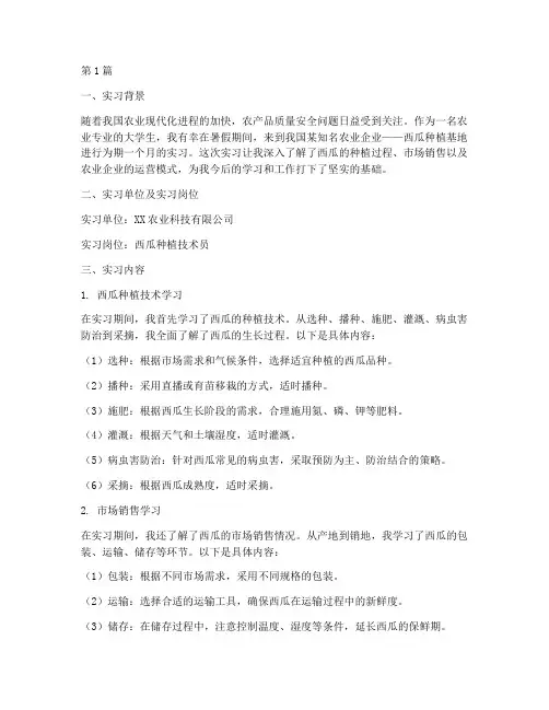西瓜实习实践报告(2篇)