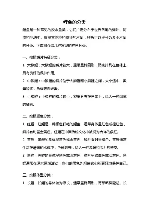 鲤鱼的分类
