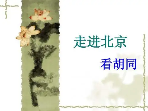 胡同文化