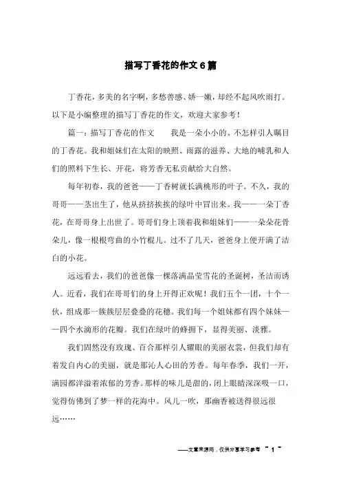 描写丁香花的作文6篇