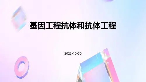 基因工程抗体和抗体工程