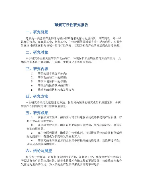酵素可行性研究报告