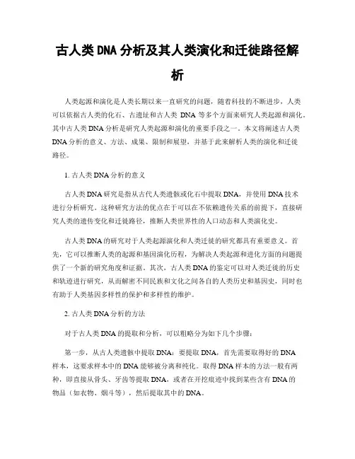 古人类DNA分析及其人类演化和迁徙路径解析