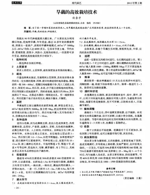 旱藕的高效栽培技术