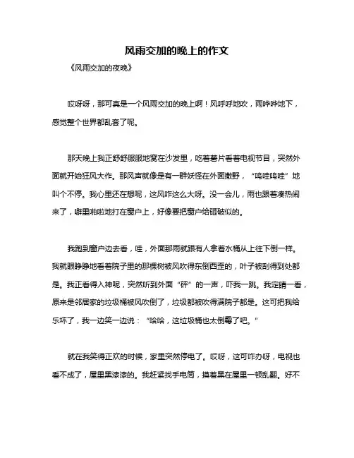 风雨交加的晚上的作文