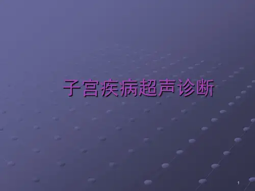 子宫疾病超声诊断PPT课件