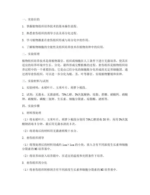 愈伤组织实验报告