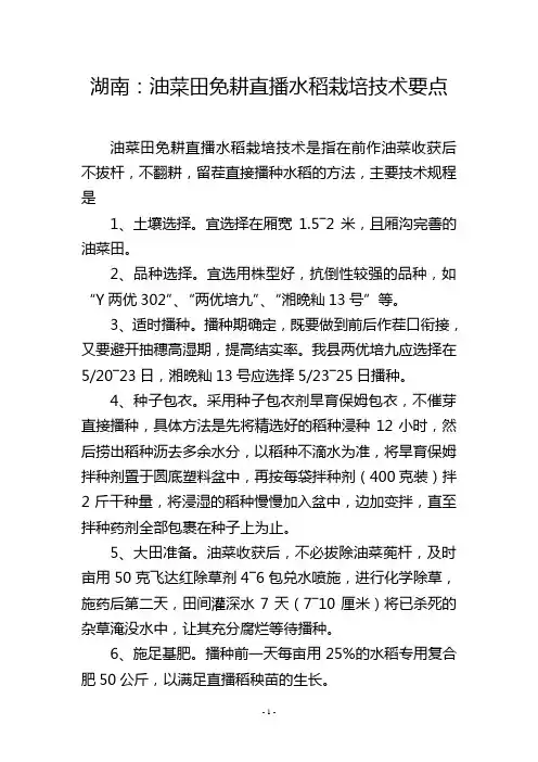 湖南：油菜田免耕直播水稻栽培技术要点