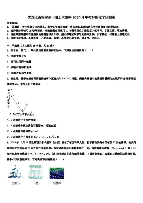 黑龙江省哈尔滨市哈工大附中2024届中考押题化学预测卷含解析
