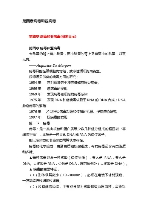 第四章病毒和亚病毒