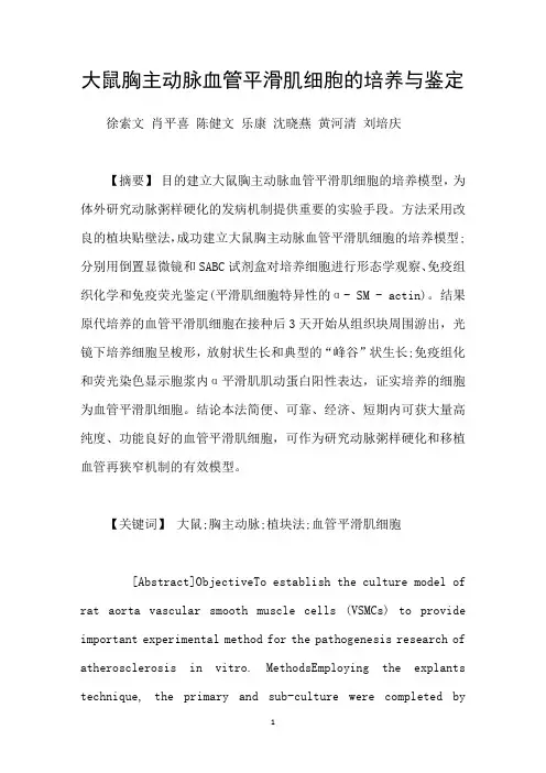 大鼠胸主动脉血管平滑肌细胞的培养与鉴定