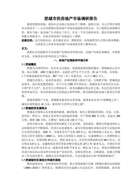 肥城市场调研报告