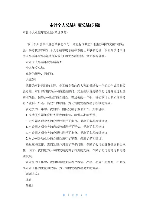 审计个人总结年度总结(5篇)