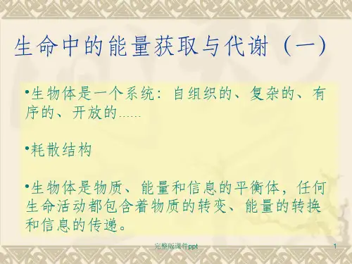 《生命中的化学》PPT课件
