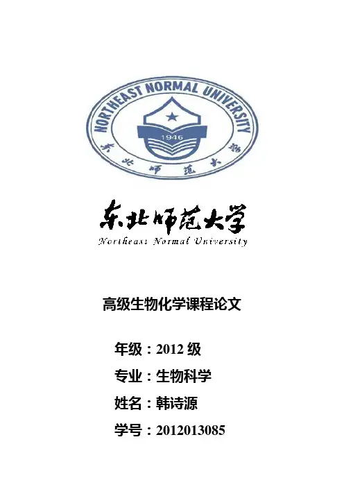 高级生化课程论文