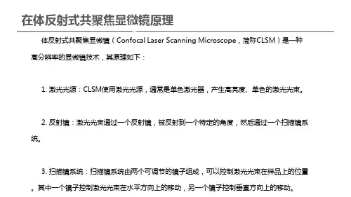 在体反射式共聚焦显微镜原理