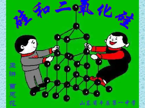 高一化学 硅和二氧化硅ppt
