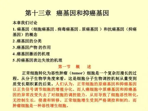 癌基因和抑癌基因ppt课件
