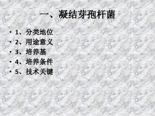 凝结芽孢杆菌
