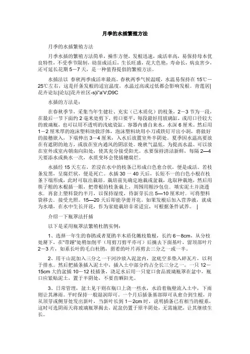 月季的水插繁殖方法
