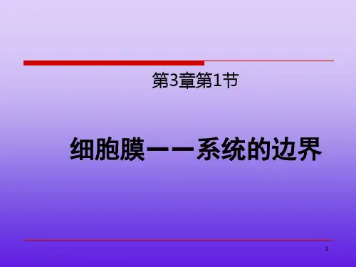 人教版生物必修一第三章第一节细胞膜-系统的边界