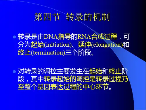 分子生物学第五章2